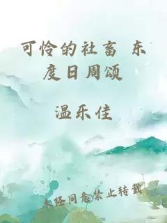 可怜的社畜 东度日周颂