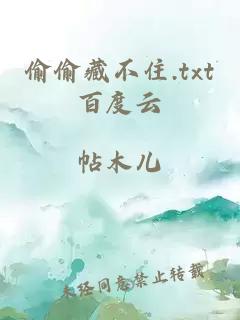 偷偷藏不住.txt百度云