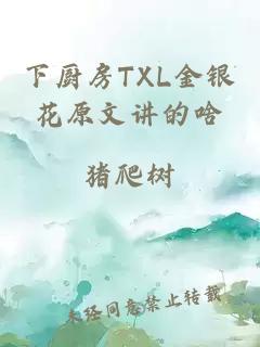 下厨房TXL金银花原文讲的啥