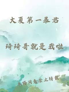大夏第一暴君