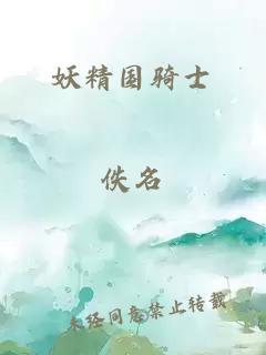 妖精国骑士