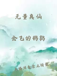 无量真仙