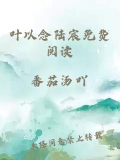 叶以念陆宸免费阅读
