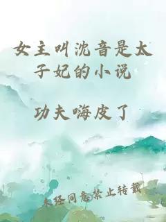 女主叫沈音是太子妃的小说