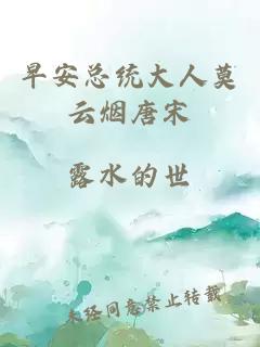 早安总统大人莫云烟唐宋