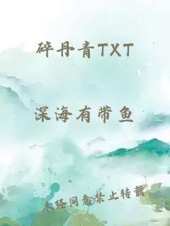 碎丹青TXT