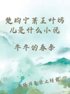 楚昀宁萧王叶嫣儿是什么小说