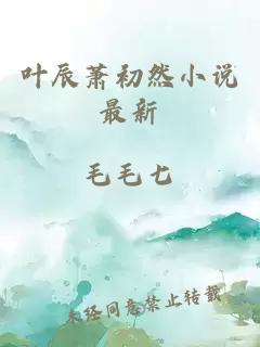 叶辰萧初然小说最新