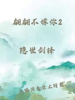 翩翩不嫁你2