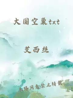 大国空巢txt