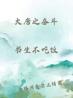 大唐之奋斗