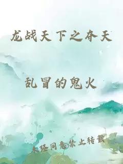 龙战天下之夺天